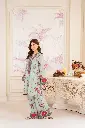 DSC00655.webp